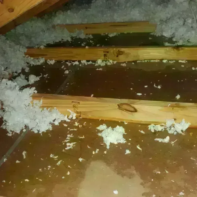 Attic Water Damage in Deer Lodge, MT