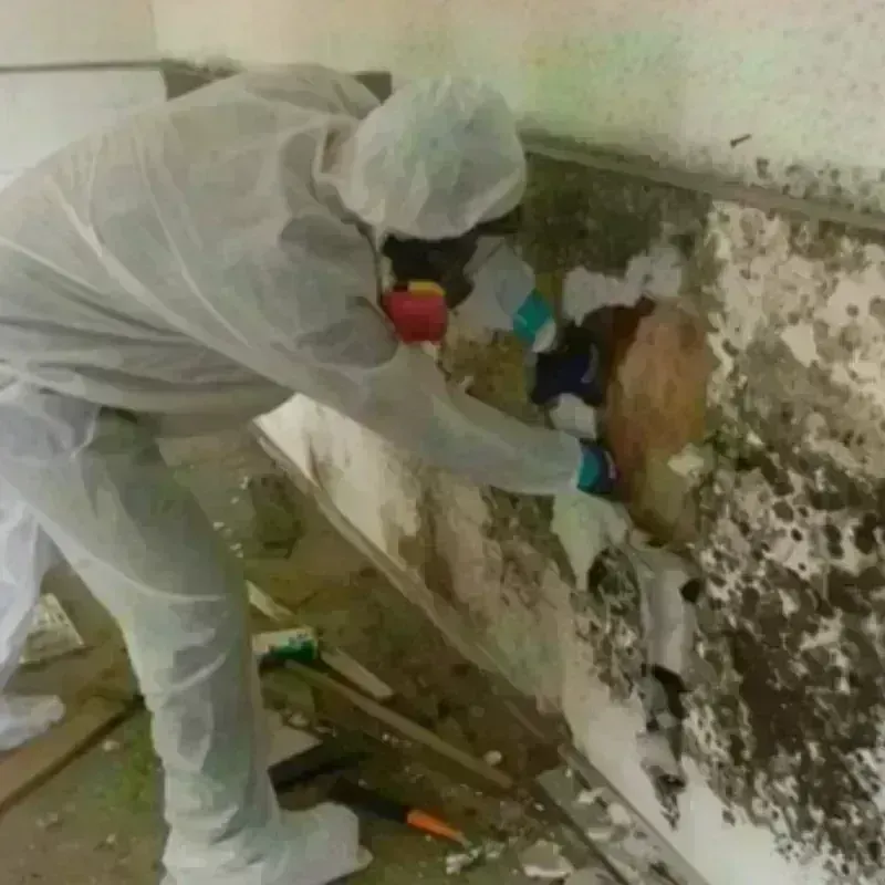 Mold Remediation and Removal in Deer Lodge, MT